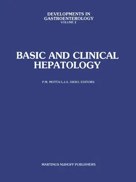 Motta / Didio |  Basic and Clinical Hepatology | Buch |  Sack Fachmedien