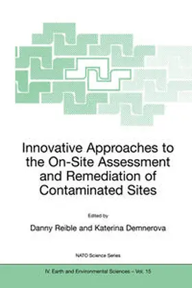 Reible / Demnerova | Innovative Approaches to the On-Site Assessment and Remediation of Contaminated Sites | E-Book | sack.de