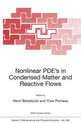 Berestycki / Pomeau |  Nonlinear PDE’s in Condensed Matter and Reactive Flows | eBook | Sack Fachmedien