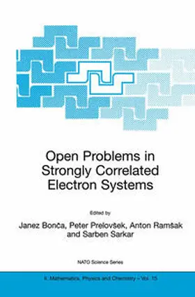 Bonca / Prelovsek / Ramsak | Open Problems in Strongly Correlated Electron Systems | E-Book | sack.de