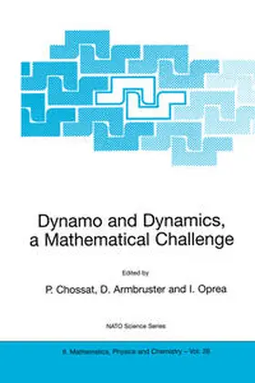 Chossat / Armbruster / Oprea | Dynamo and Dynamics, a Mathematical Challenge | E-Book | sack.de