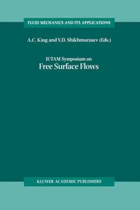 King / Shikhmurzaev | IUTAM Symposium on Free Surface Flows | E-Book | sack.de