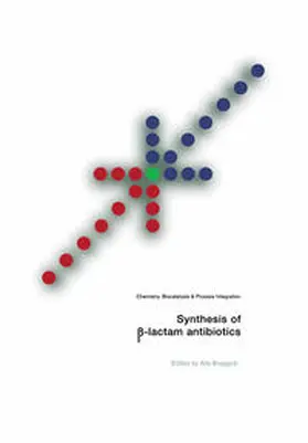 Bruggink |  Synthesis of ß-Lactam Antibiotics | eBook | Sack Fachmedien