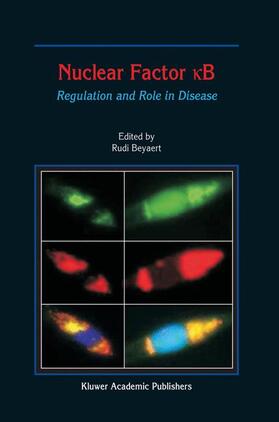 Beyaert |  Nuclear Factor ¿B | Buch |  Sack Fachmedien