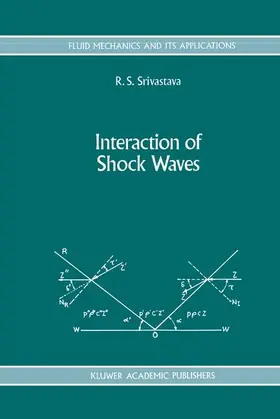 Srivastava | Interaction of Shock Waves | Buch | 978-94-010-4474-5 | sack.de