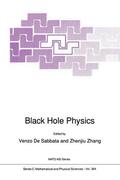 de Sabbata |  Black Hole Physics | Buch |  Sack Fachmedien