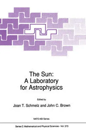 Brown / Schmelz |  The Sun: A Laboratory for Astrophysics | Buch |  Sack Fachmedien