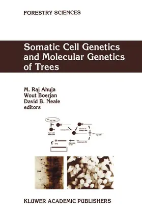 Ahuja / Boerjan / Neale |  Somatic Cell Genetics and Molecular Genetics of Trees | Buch |  Sack Fachmedien