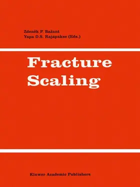 Bazant / Rajapakse |  Fracture Scaling | Buch |  Sack Fachmedien
