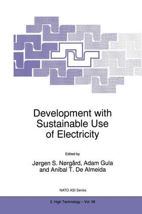 Nørgård / de Almeida / Gula | Development with Sustainable Use of Electricity | Buch | sack.de