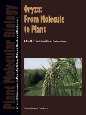 Sasaki / Moore | Oryza: From Molecule to Plant | Buch | 978-94-010-6446-0 | www.sack.de
