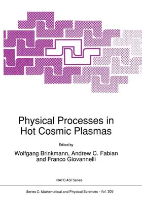 Brinkmann / Giovannelli / Fabian | Physical Processes in Hot Cosmic Plasmas | Buch | 978-94-010-6732-4 | www.sack.de