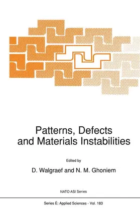 Walgraef / Ghoniem | Patterns, Defects and Materials Instabilities | Buch | 978-94-010-6755-3 | www.sack.de