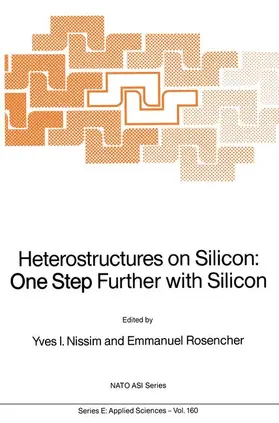 Rosencher / Nissim | Heterostructures on Silicon: One Step Further with Silicon | Buch | 978-94-010-6900-7 | www.sack.de