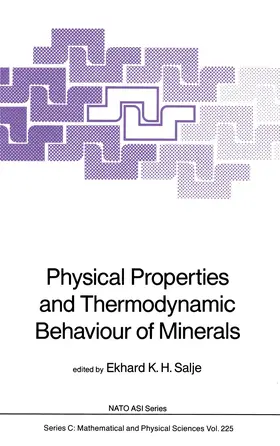 Salje | Physical Properties and Thermodynamic Behaviour of Minerals | Buch | 978-94-010-7802-3 | www.sack.de