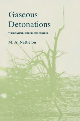 Nettleton | Gaseous Detonations | Buch | 978-94-010-7915-0 | www.sack.de