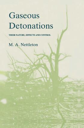 Nettleton | Gaseous Detonations | Buch | 978-94-010-7915-0 | sack.de