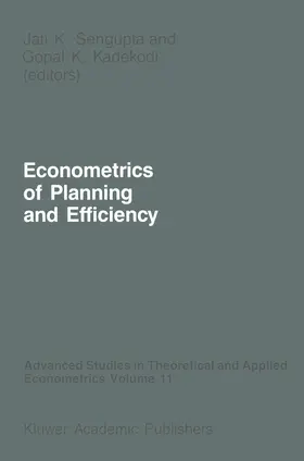 Kadekodi / Sengupta |  Econometrics of Planning and Efficiency | Buch |  Sack Fachmedien