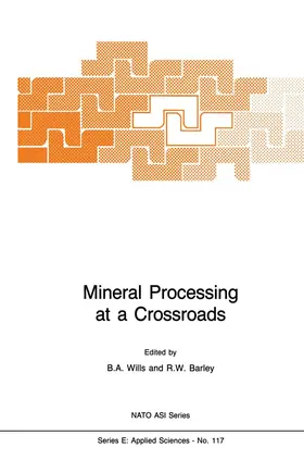 Wills / Barley | Mineral Processing at a Crossroads | Buch | 978-94-010-8493-2 | www.sack.de