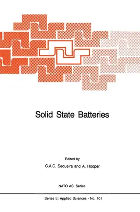 Sequeira / Hooper | Solid State Batteries | Buch | 978-94-010-8786-5 | www.sack.de