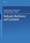 Cabrera / Martínez / Espert |  Hydraulic Machinery and Cavitation | Buch |  Sack Fachmedien
