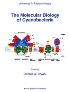 Bryant |  The Molecular Biology of Cyanobacteria | eBook | Sack Fachmedien