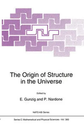 Gunzig / Nardone |  The Origin of Structure in the Universe | eBook | Sack Fachmedien