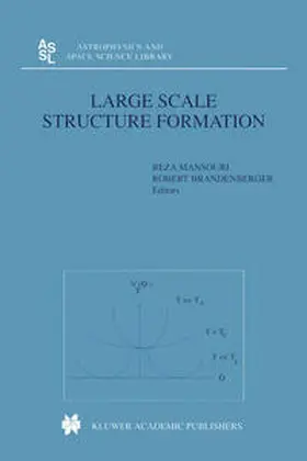 Mansouri / Brandenberger |  Large Scale Structure Formation | eBook | Sack Fachmedien