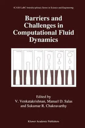 Venkatakrishnan / Salas / Chakravarthy |  Barriers and Challenges in Computational Fluid Dynamics | eBook | Sack Fachmedien