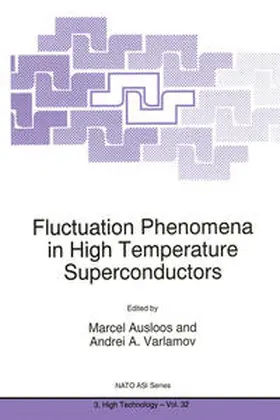 Ausloos / Varlamov | Fluctuation Phenomena in High Temperature Superconductors | E-Book | sack.de