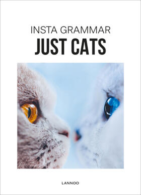 Schampaert |  Insta Grammar Just Cats | Buch |  Sack Fachmedien