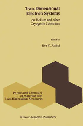 Andrei |  Two-Dimensional Electron Systems | eBook | Sack Fachmedien