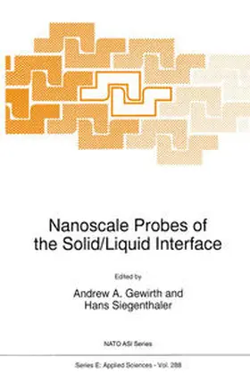 Gewirth / Siegenthaler | Nanoscale Probes of the Solid/Liquid Interface | E-Book | sack.de
