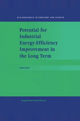 de Beer |  Potential for Industrial Energy-Efficiency Improvement in the Long Term | eBook | Sack Fachmedien