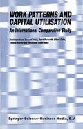Anxo / Bosch / Taddei |  Work Patterns and Capital Utilisation | Buch |  Sack Fachmedien