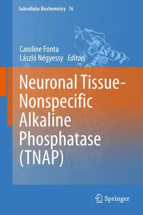 Négyessy / Fonta | Neuronal Tissue-Nonspecific Alkaline Phosphatase (TNAP) | Buch | 978-94-017-7196-2 | sack.de