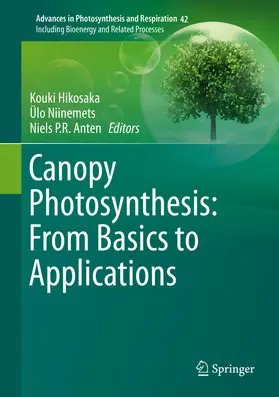 Hikosaka / Niinemets / Anten | Canopy Photosynthesis: From Basics to Applications | E-Book | www.sack.de