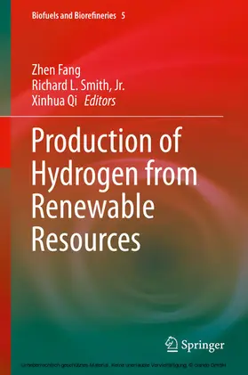 Fang / Smith, Jr. / Smith |  Production of Hydrogen from Renewable Resources | eBook | Sack Fachmedien