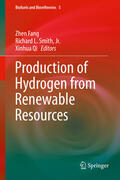 Fang / Smith, Jr. / Qi |  Production of Hydrogen from Renewable Resources | eBook | Sack Fachmedien