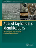 Fernandez-Jalvo / Andrews |  Atlas of Taphonomic Identifications | eBook | Sack Fachmedien