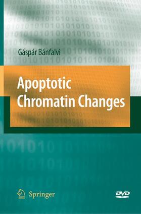 Banfalvi | Apoptotic Chromatin Changes | Buch | 978-94-017-7724-7 | sack.de