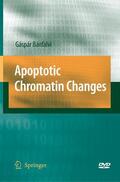 Banfalvi |  Apoptotic Chromatin Changes | Buch |  Sack Fachmedien