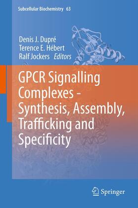 Dupré / Jockers / Hébert | GPCR Signalling Complexes ¿ Synthesis, Assembly, Trafficking and Specificity | Buch | 978-94-017-8099-5 | sack.de