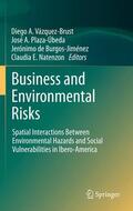 Vazquez-Brust / Natenzon / Plaza-Úbeda |  Business and Environmental Risks | Buch |  Sack Fachmedien