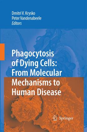 Vandenabeele / Krysko | Phagocytosis of Dying Cells | Buch | 978-94-017-8299-9 | sack.de