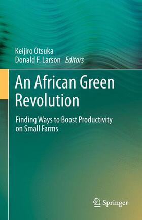 Larson / Otsuka | An African Green Revolution | Buch | 978-94-017-8368-2 | sack.de