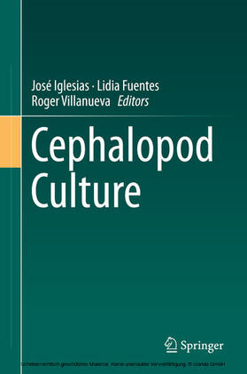 Iglesias / Fuentes / Villanueva | Cephalopod Culture | E-Book | sack.de