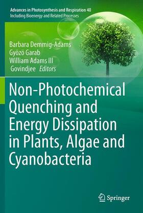 Demmig-Adams / Govindjee / Garab | Non-Photochemical Quenching and Energy Dissipation in Plants, Algae and Cyanobacteria | Buch | 978-94-017-9031-4 | sack.de