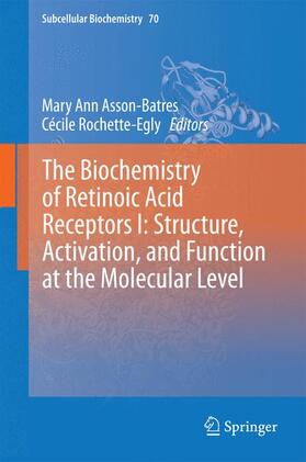 Rochette-Egly / Asson-Batres | The Biochemistry of Retinoic Acid Receptors I: Structure, Activation, and Function at the Molecular Level | Buch | 978-94-017-9049-9 | sack.de
