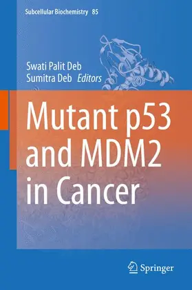 Deb |  Mutant p53 and MDM2 in Cancer | Buch |  Sack Fachmedien